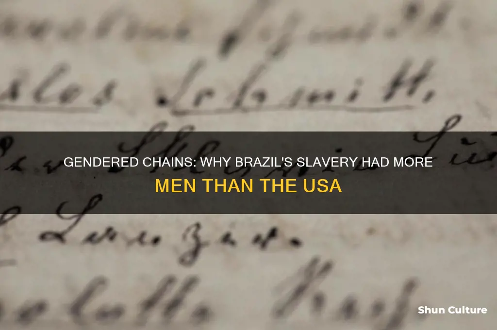 why there were more male slaves in brazil vs usa