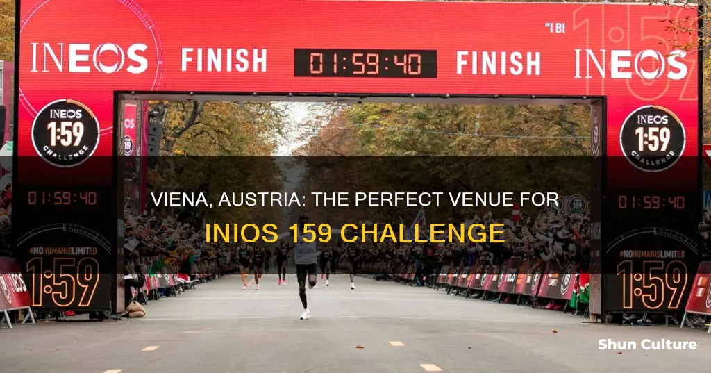 why they chose viena austria for inios 159 challege