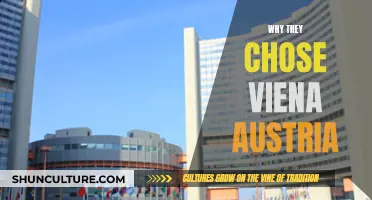 Vibrant Vienna: Why They Chose This Austrian City