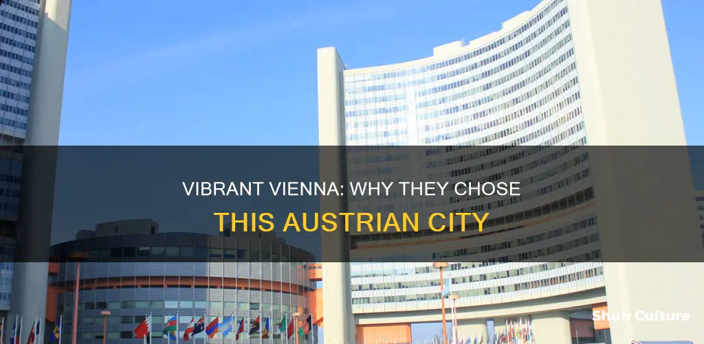 why they chose viena austria