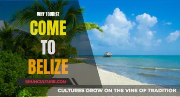 Belize: A Tropical Paradise for Tourists