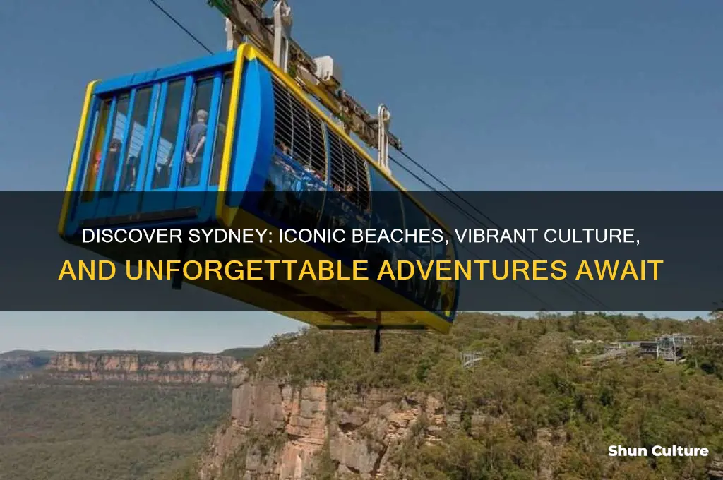 why travel to sydney australia