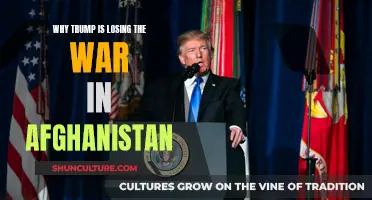 Trump's Afghan Conundrum: A War of Attrition and Lost Opportunities