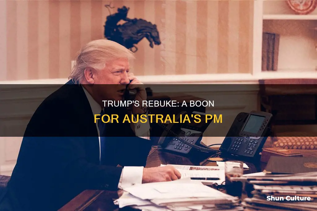 why trump