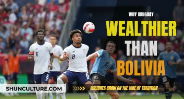 Uruguay vs Bolivia: The Wealth Divide Explained