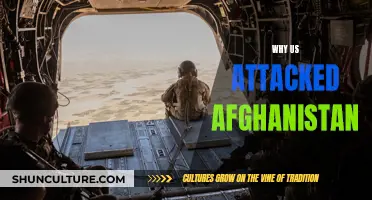 The Invasion's Legacy: Unraveling America's Motives in Afghanistan