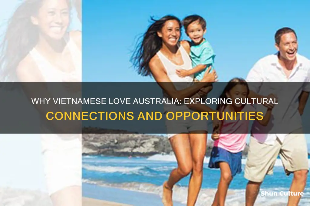 why vietnamese like australia
