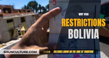 Bolivia's Visa Restrictions: Why the Sudden Change?