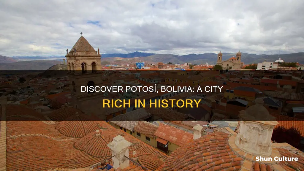 why visit potosi bolivia