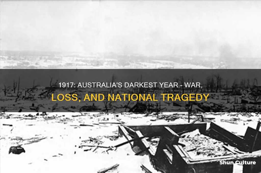 why was 1917 the worst year in australian history