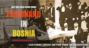 Archduke Franz Ferdinand's Fateful Visit to Bosnia: Unraveling the Reasons