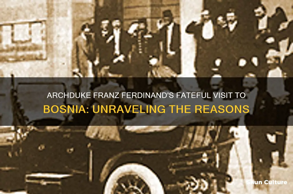 why was arch duker franz ferdinand in bosnia