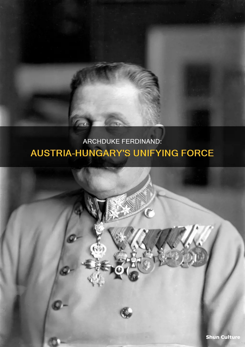 why was archduke ferdinand important to austria-hungary