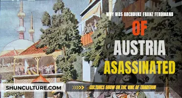 Austria's Archduke: A Fateful Assassination