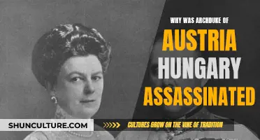 The Archduke's Assassin: Unraveling the Mystery of a Political Murder