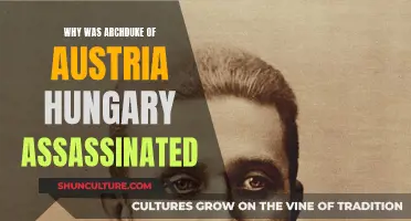 Archduke's Assassination: The Spark That Ignited World War I