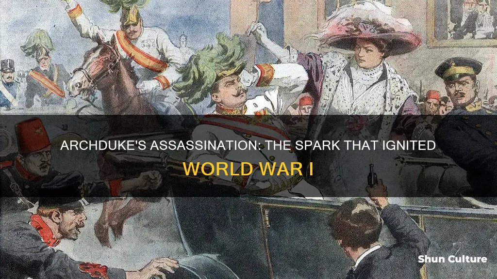 why was archduke of austria hungary assassinated