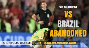 Argentina vs Brazil Abandoned: Unraveling the Chaos Behind the Match Halt