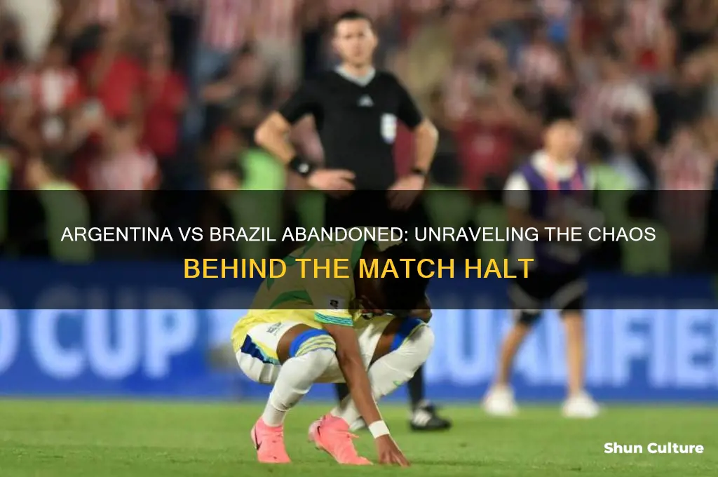 why was argentina vs brazil abandoned
