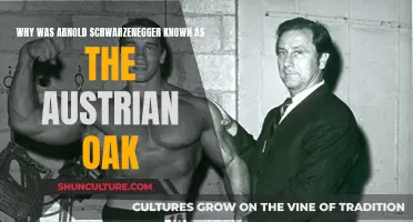 The Austrian Oak: Arnold Schwarzenegger's Strength and Legacy