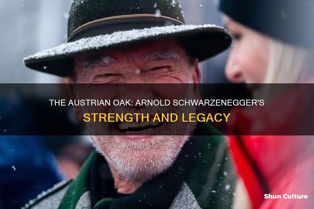 why was arnold schwarzenegger known as the austrian oak