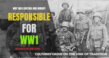 Austria-Hungary's Role: The Catalyst of World War I