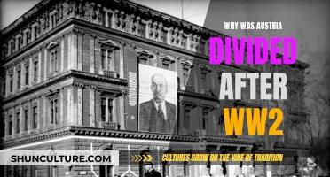 Austria's Post-WWII Division: Understanding the Reasons