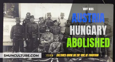 The End of Austria-Hungary: Why It Fell Apart