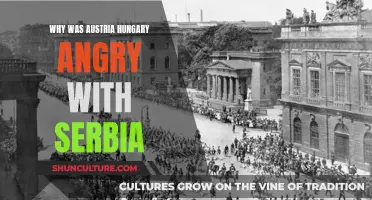 Serbia's Role in Austria-Hungary's Fury Explained