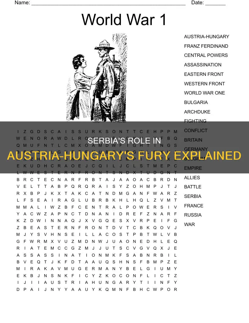 why was austria hungary angry with serbia