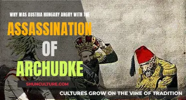Austria-Hungary's Fury: Archduke's Assassination, Why?