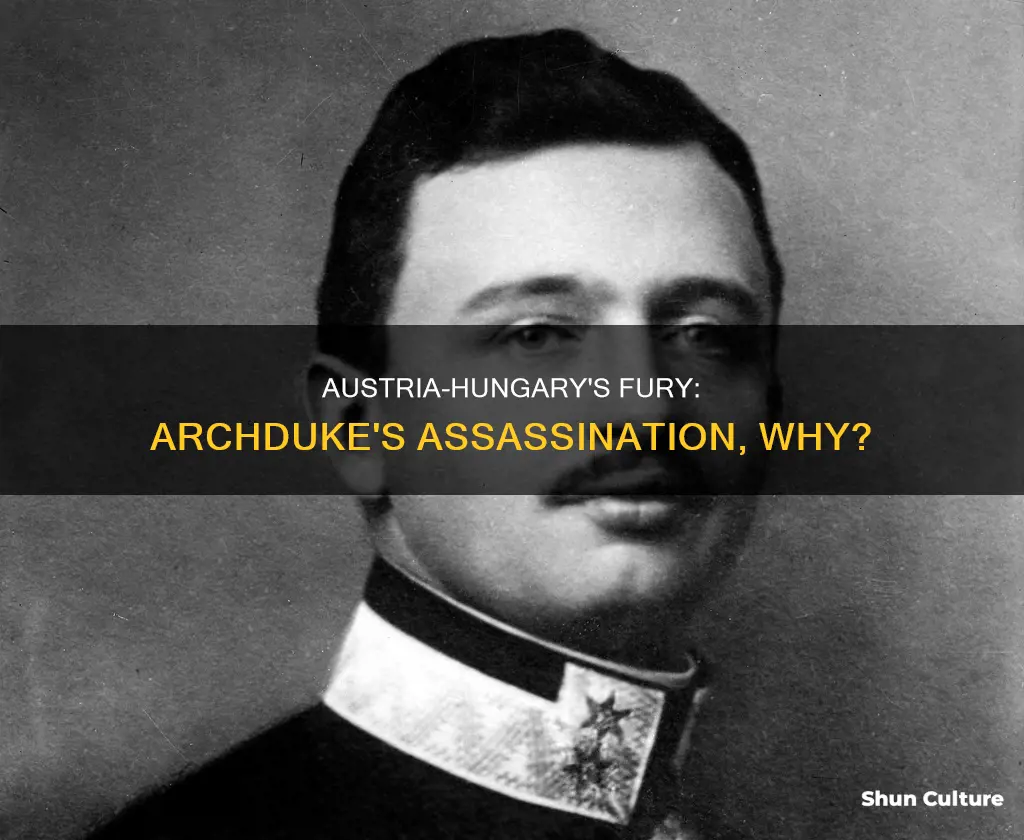 why was austria hungary angry with the assassination of archudke