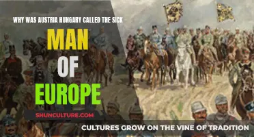 The Unstable Empire: Austria-Hungary's Sick Man Moniker