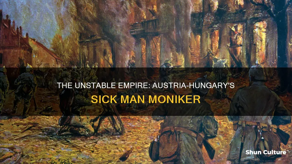 why was austria hungary called the sick man of europe