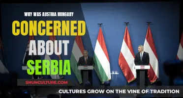 Serbia's Threat to Austria-Hungary: Why Worry?