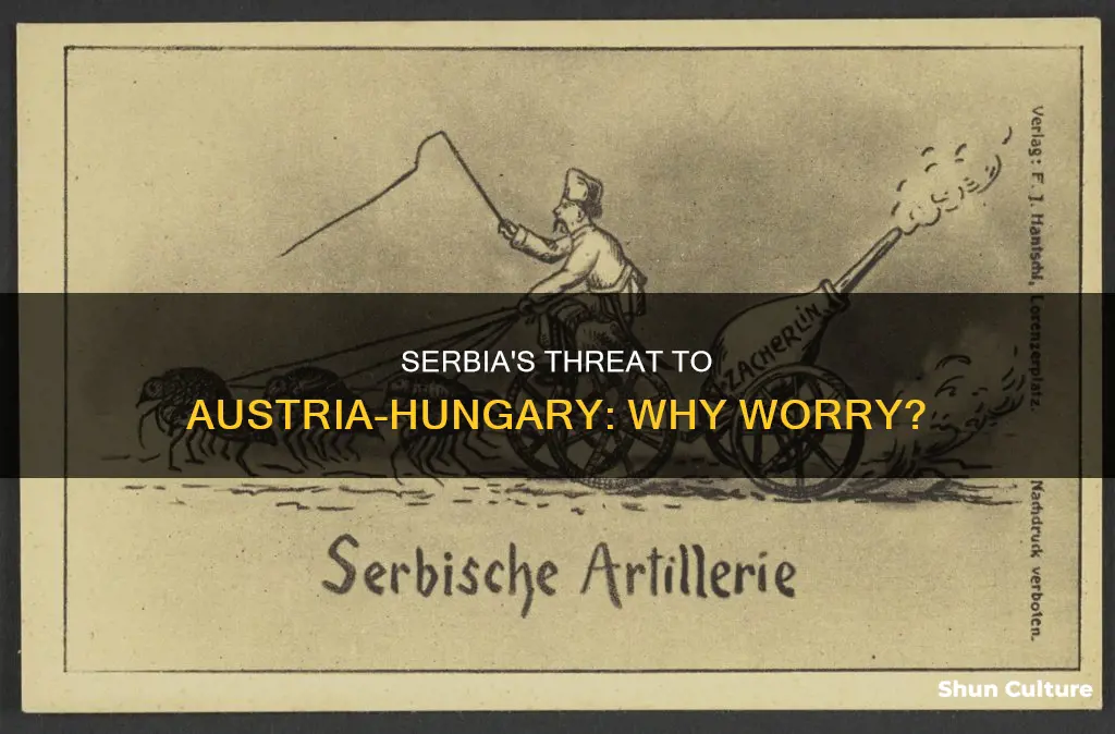 why was austria hungary concerned about serbia