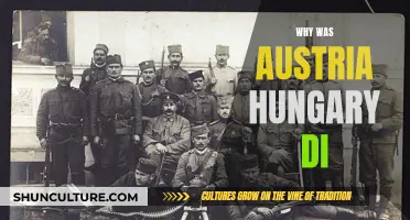 The Complex End of Austria-Hungary
