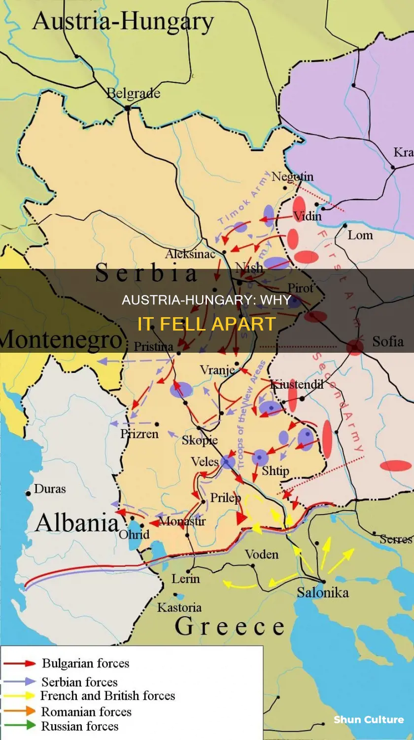 why was austria hungary disbanded