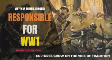 Austria-Hungary's Role: Catalyst of World War I