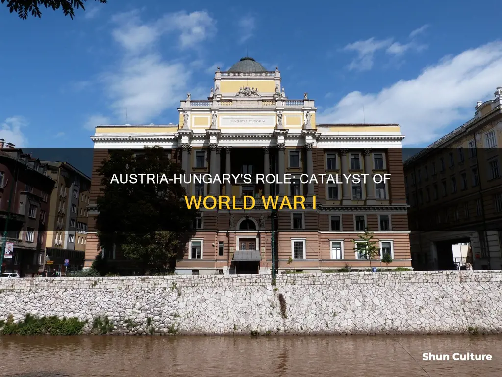 why was austria hungary responsible for ww1
