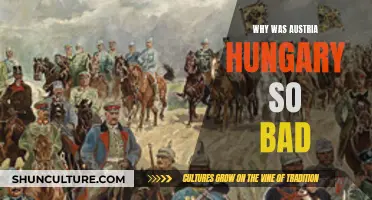 Austria-Hungary: A Complex Empire's Troubles