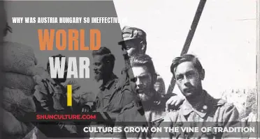 Ineffectiveness of Austria-Hungary: WWI's Unprepared Empire