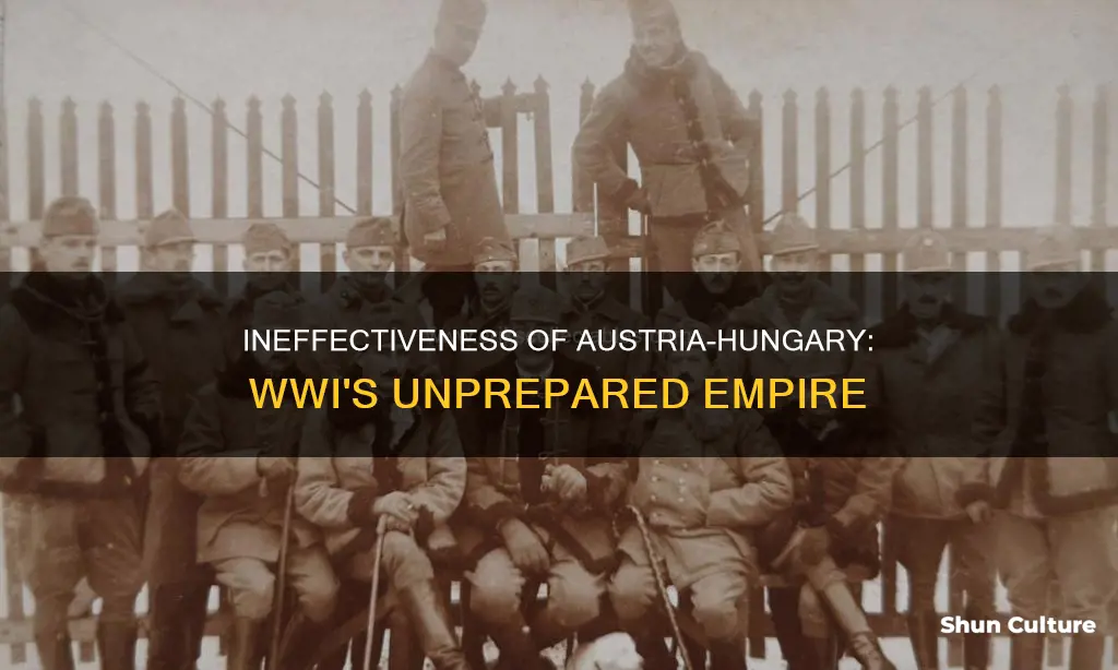 why was austria hungary so ineffective in world war i