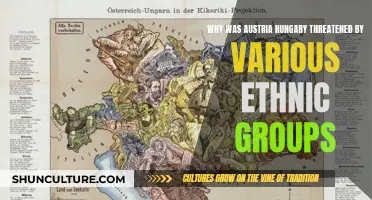 Austria-Hungary: Ethnic Tensions and Threats