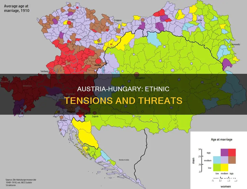 why was austria hungary threatened by various ethnic groups