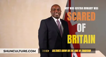 Britain's Threat: Austria-Hungary's Fear and Anxiety