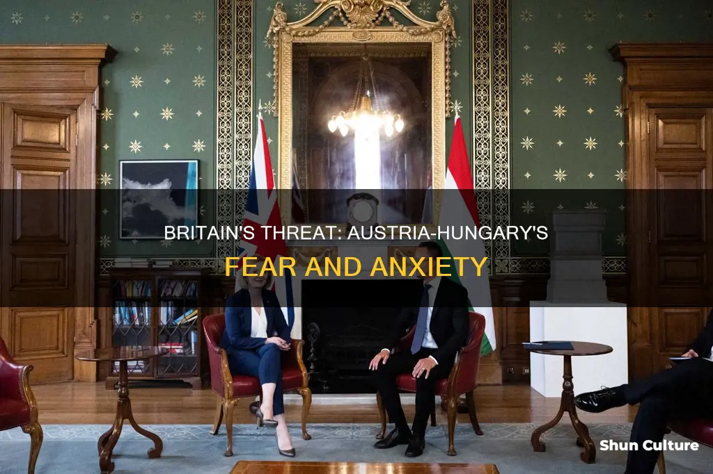 why was austria hungary was scared of britain