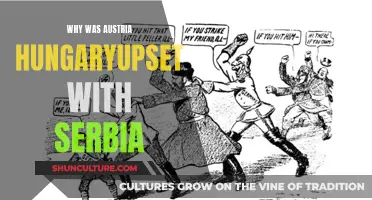 Serbia's Role in Austria-Hungary's Turmoil