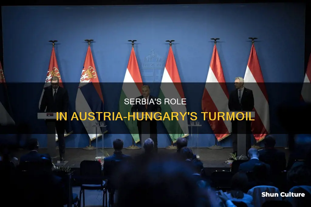 why was austria hungaryupset with serbia