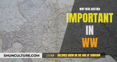 Austria's Strategic Importance in World War I